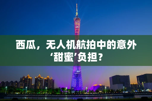 西瓜，无人机航拍中的意外‘甜蜜’负担？