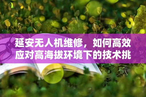 延安无人机维修，如何高效应对高海拔环境下的技术挑战？