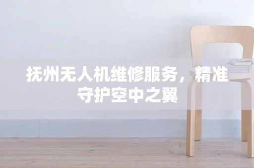抚州无人机维修服务，精准守护空中之翼