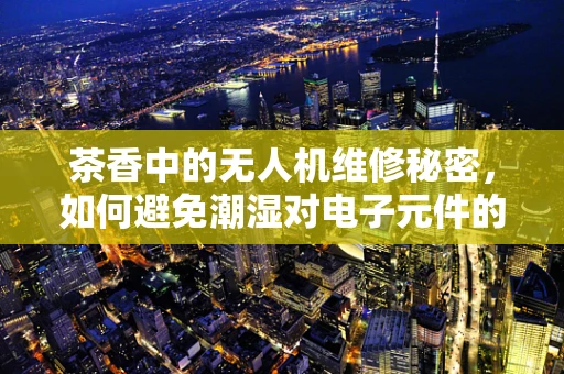 茶香中的无人机维修秘密，如何避免潮湿对电子元件的损害？