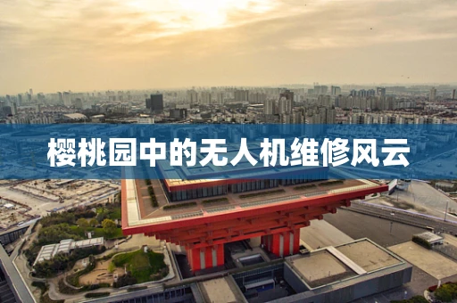 樱桃园中的无人机维修风云