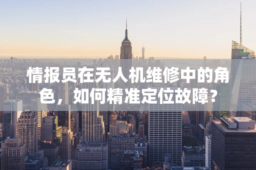 情报员在无人机维修中的角色，如何精准定位故障？
