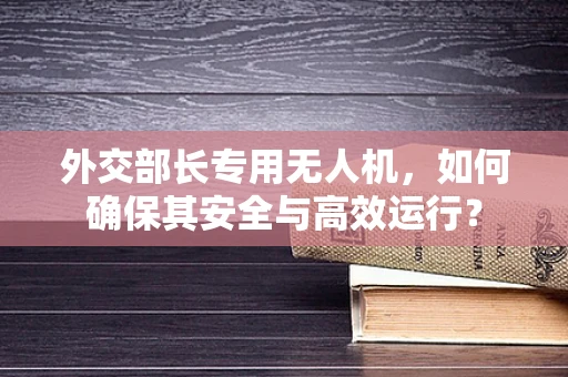 外交部长专用无人机，如何确保其安全与高效运行？