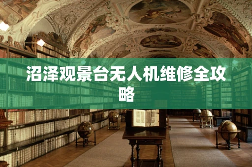 沼泽观景台无人机维修全攻略