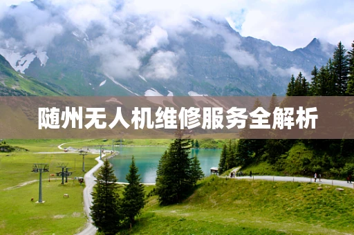 随州无人机维修服务全解析