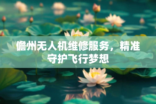儋州无人机维修服务，精准守护飞行梦想
