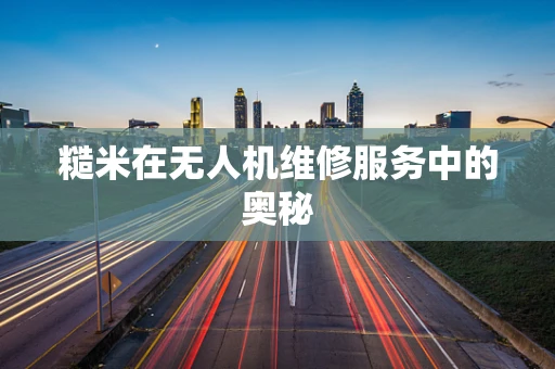 糙米在无人机维修服务中的奥秘