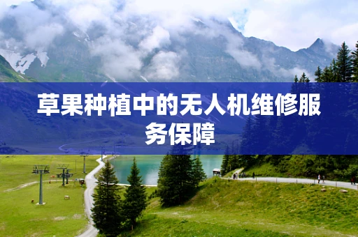 草果种植中的无人机维修服务保障