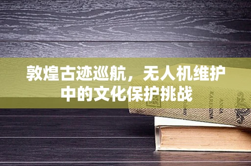 敦煌古迹巡航，无人机维护中的文化保护挑战