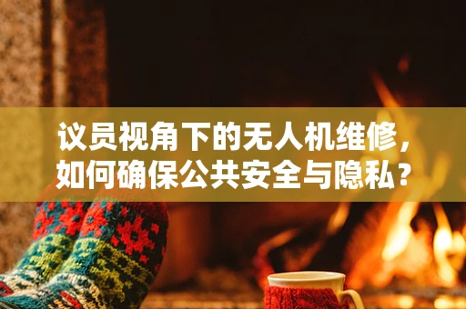 议员视角下的无人机维修，如何确保公共安全与隐私？