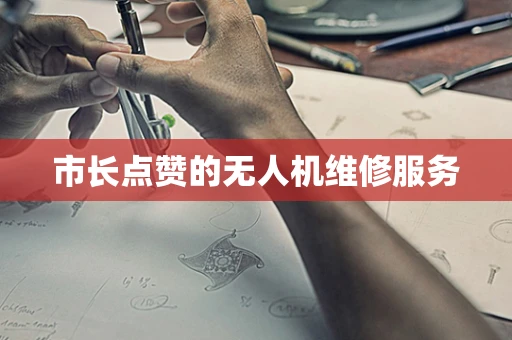 市长点赞的无人机维修服务