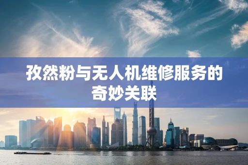 孜然粉与无人机维修服务的奇妙关联