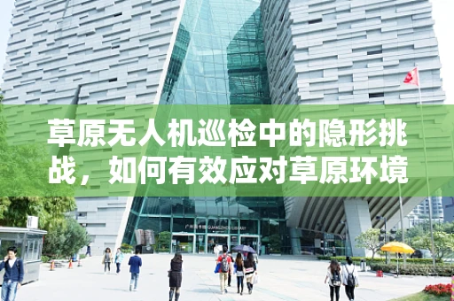 草原无人机巡检中的隐形挑战，如何有效应对草原环境对无人机的影响？