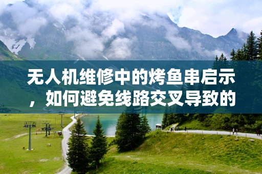 无人机维修中的烤鱼串启示，如何避免线路交叉导致的故障？