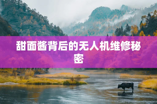 甜面酱背后的无人机维修秘密