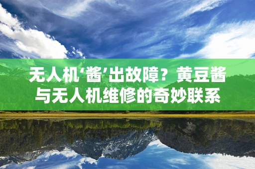 无人机‘酱’出故障？黄豆酱与无人机维修的奇妙联系