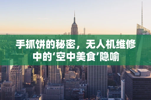 手抓饼的秘密，无人机维修中的‘空中美食’隐喻