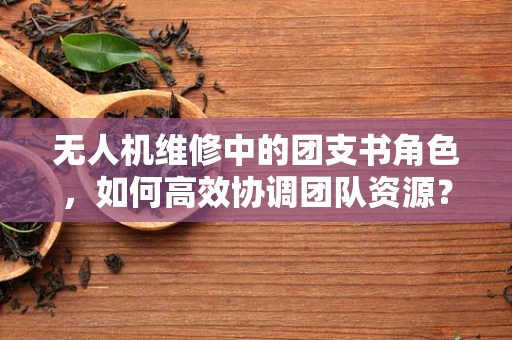 无人机维修中的团支书角色，如何高效协调团队资源？