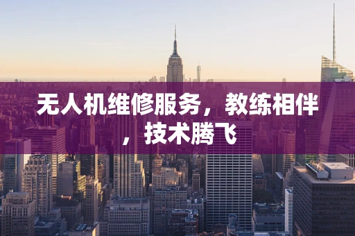 无人机维修服务，教练相伴，技术腾飞
