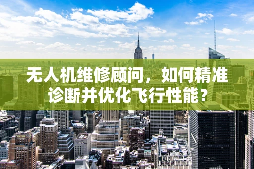 无人机维修顾问，如何精准诊断并优化飞行性能？