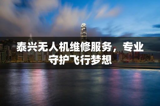 泰兴无人机维修服务，专业守护飞行梦想