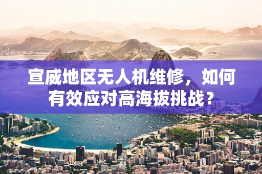 宣威地区无人机维修，如何有效应对高海拔挑战？