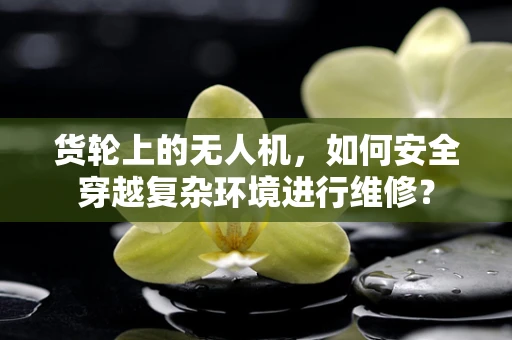 货轮上的无人机，如何安全穿越复杂环境进行维修？