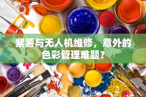 紫薯与无人机维修，意外的色彩管理难题？