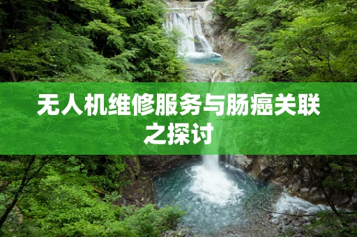 无人机维修服务与肠癌关联之探讨