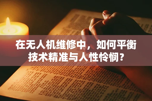 在无人机维修中，如何平衡技术精准与人性怜悯？