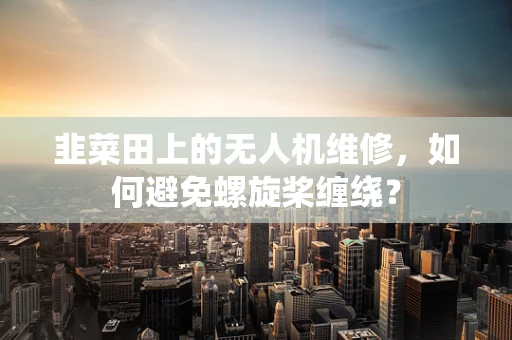 韭菜田上的无人机维修，如何避免螺旋桨缠绕？