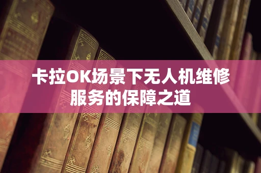 卡拉OK场景下无人机维修服务的保障之道