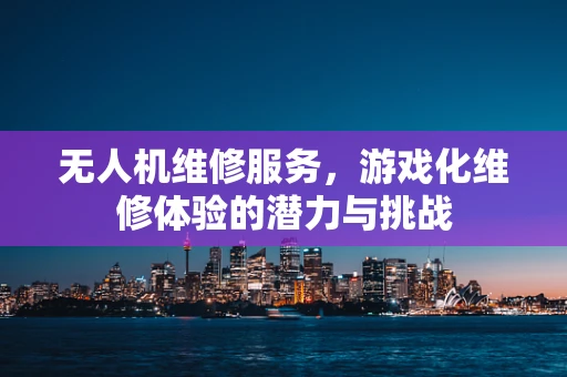 无人机维修服务，游戏化维修体验的潜力与挑战