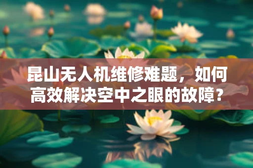 昆山无人机维修难题，如何高效解决空中之眼的故障？