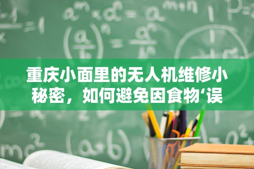 重庆小面里的无人机维修小秘密，如何避免因食物‘误入’而导致的故障？