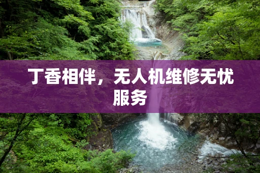丁香相伴，无人机维修无忧服务