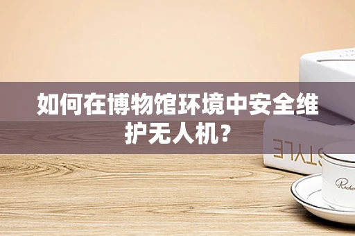 如何在博物馆环境中安全维护无人机？