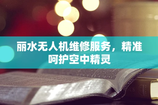丽水无人机维修服务，精准呵护空中精灵