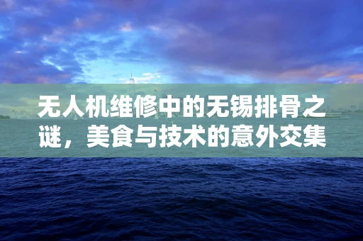 无人机维修中的无锡排骨之谜，美食与技术的意外交集
