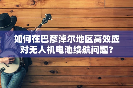 如何在巴彦淖尔地区高效应对无人机电池续航问题？