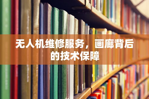 无人机维修服务，画廊背后的技术保障