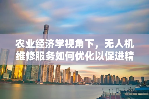农业经济学视角下，无人机维修服务如何优化以促进精准农业发展？