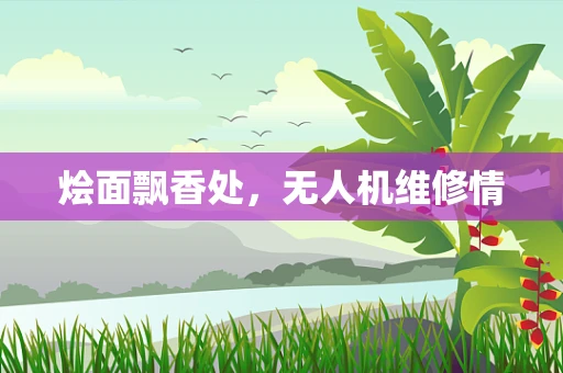 烩面飘香处，无人机维修情
