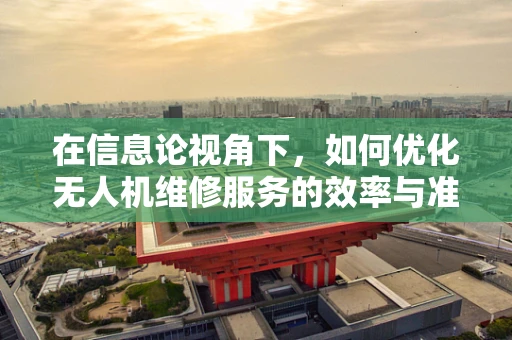 在信息论视角下，如何优化无人机维修服务的效率与准确性？