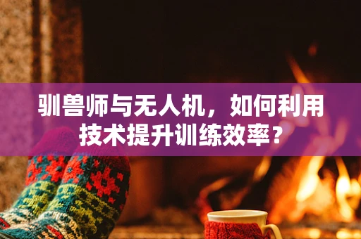 驯兽师与无人机，如何利用技术提升训练效率？