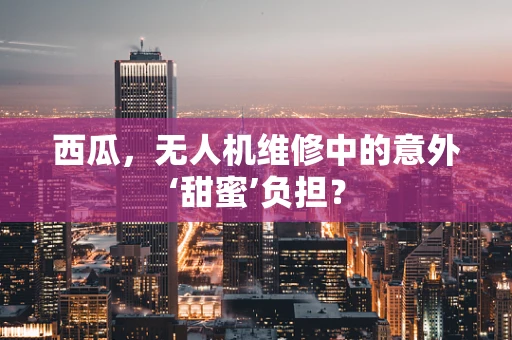 西瓜，无人机维修中的意外‘甜蜜’负担？