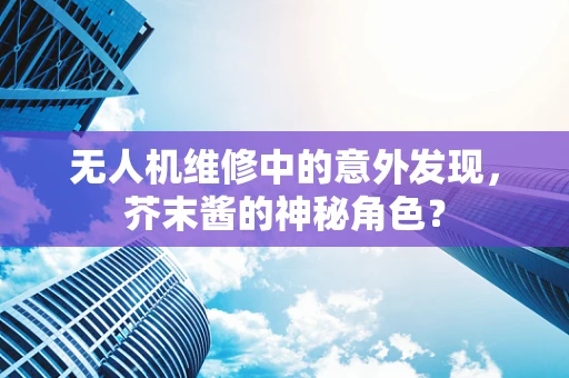 无人机维修中的意外发现，芥末酱的神秘角色？