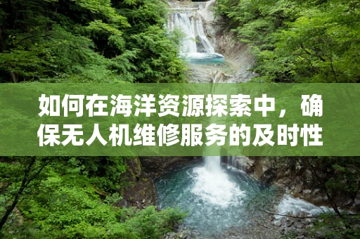 如何在海洋资源探索中，确保无人机维修服务的及时性与高效性？