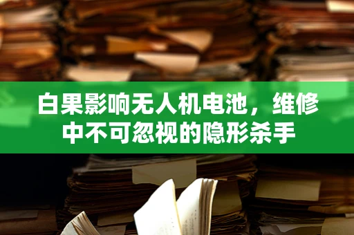 白果影响无人机电池，维修中不可忽视的隐形杀手