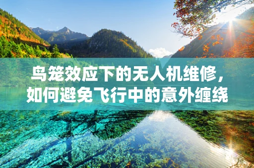 鸟笼效应下的无人机维修，如何避免飞行中的意外缠绕？